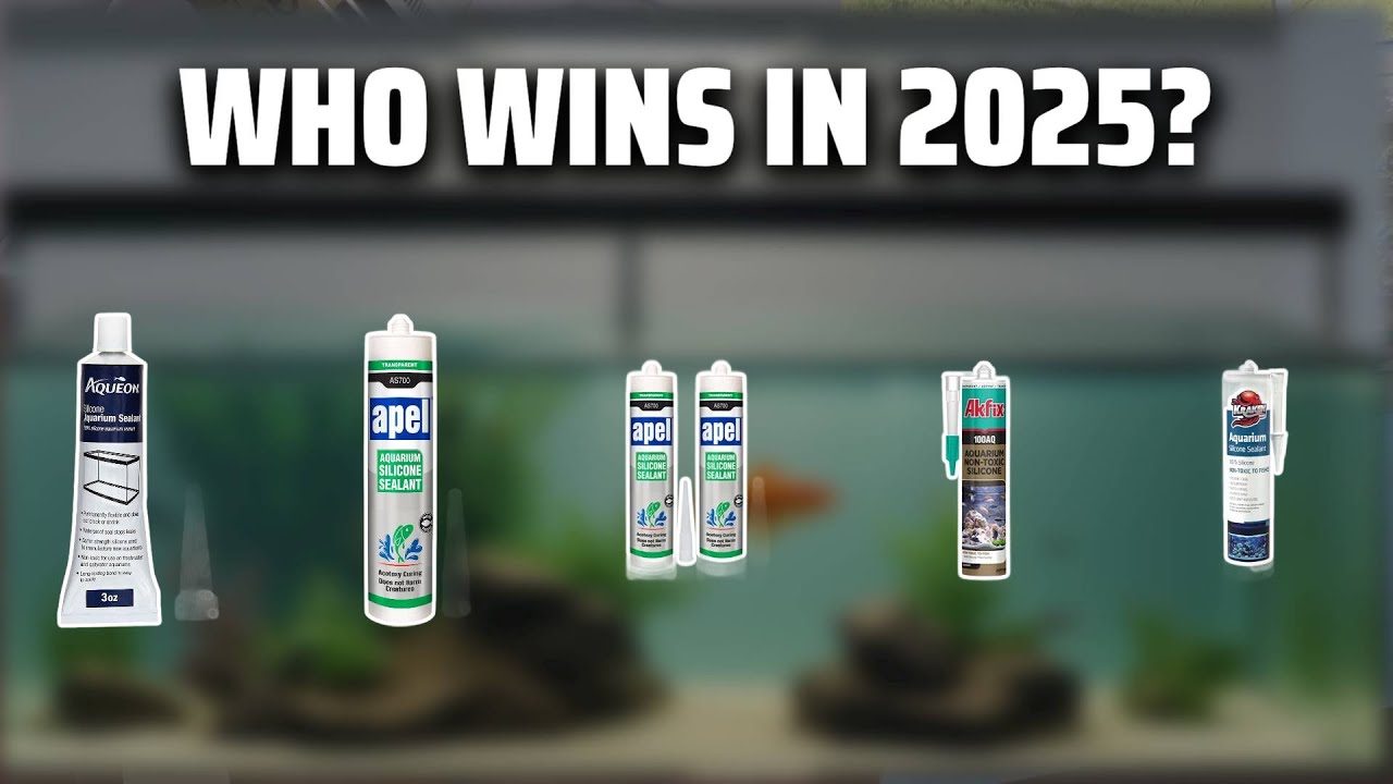 The Top 5 Best Aquarium Silicone in 2025 - Must Watch Before Buying!