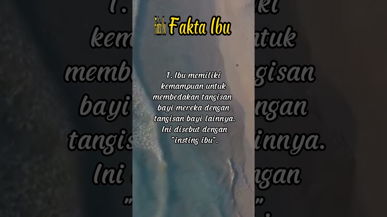 Fakta Ibu#shorts#tentangibu#peranmenarikseorangibu#ibu#inspirasiibu