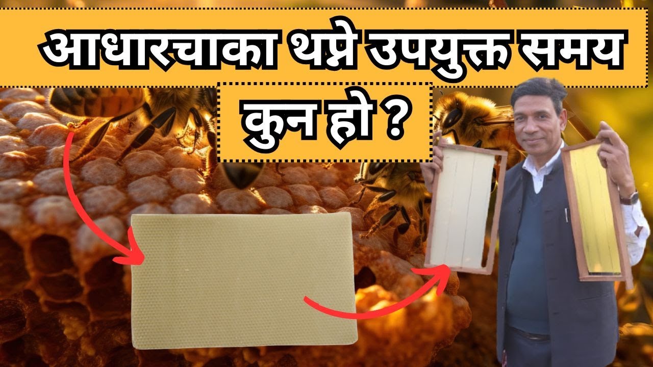 आधारचाका थप्ने उपयुक्त समय कुन हो |  कुन चाहि आधारचाका राख्दिँदा बेष्ट हुन्छ ? | FITTING IDEAS !
