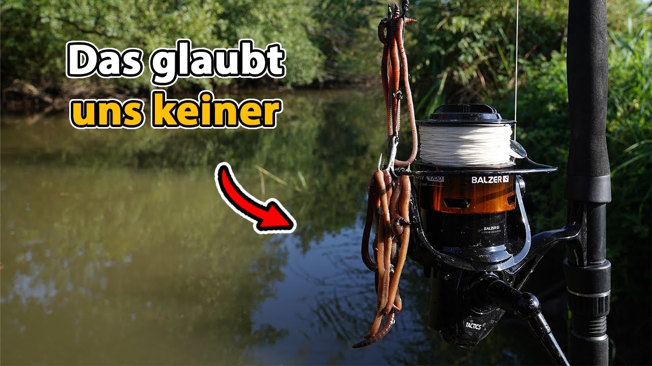 Unerwarteter Fang - Gigantischer Wels im kleinen Fluss!