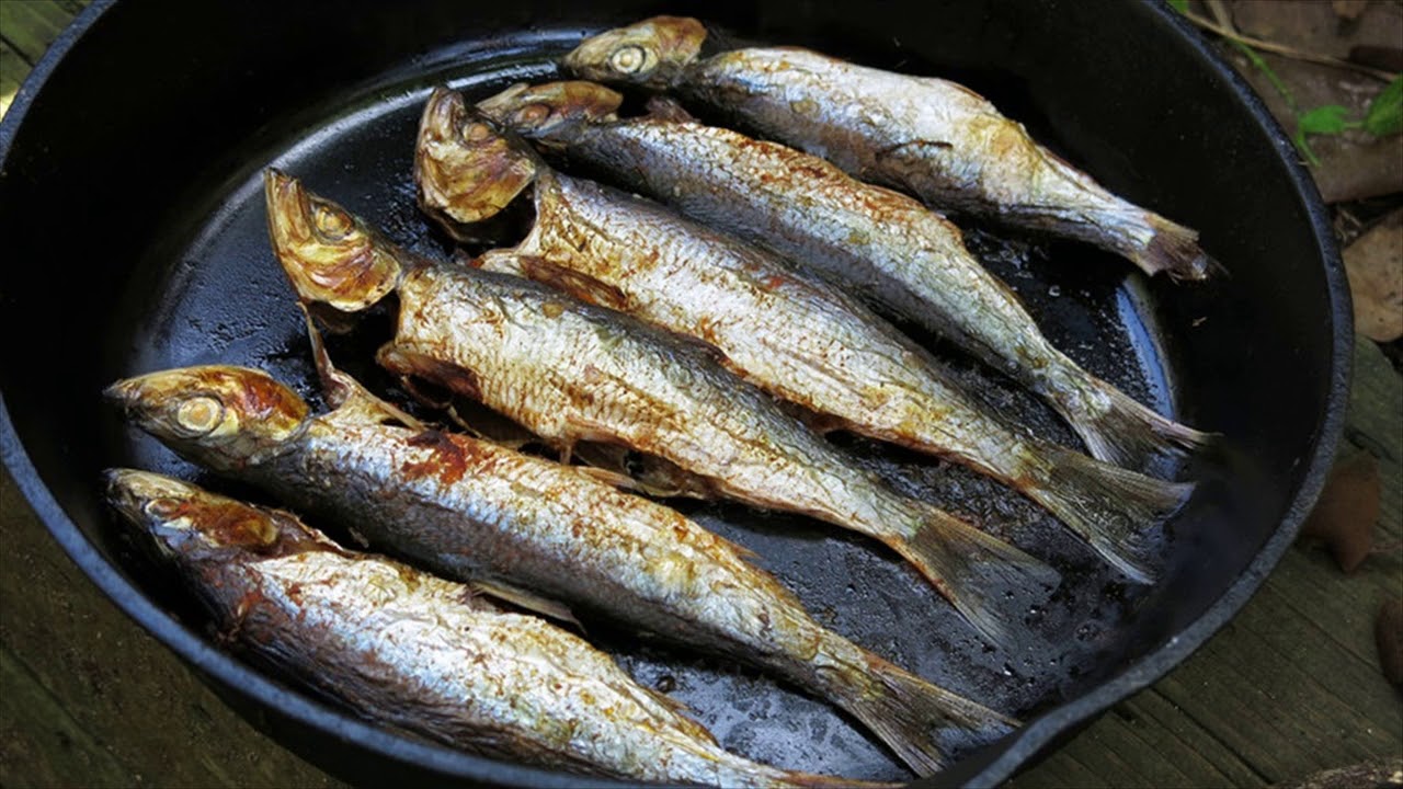 Fish Is Best Food To Take In Night- Why- Health Benefits Of Fish