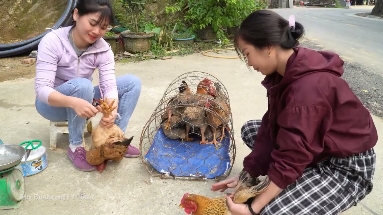 Bất Gà Nông Dân Đem RA Chợ Nông THôn Bán | Hựu Hiệu VLog