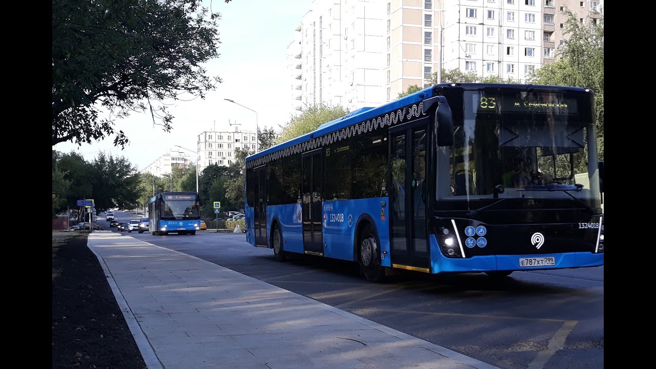 Автобусы компании 