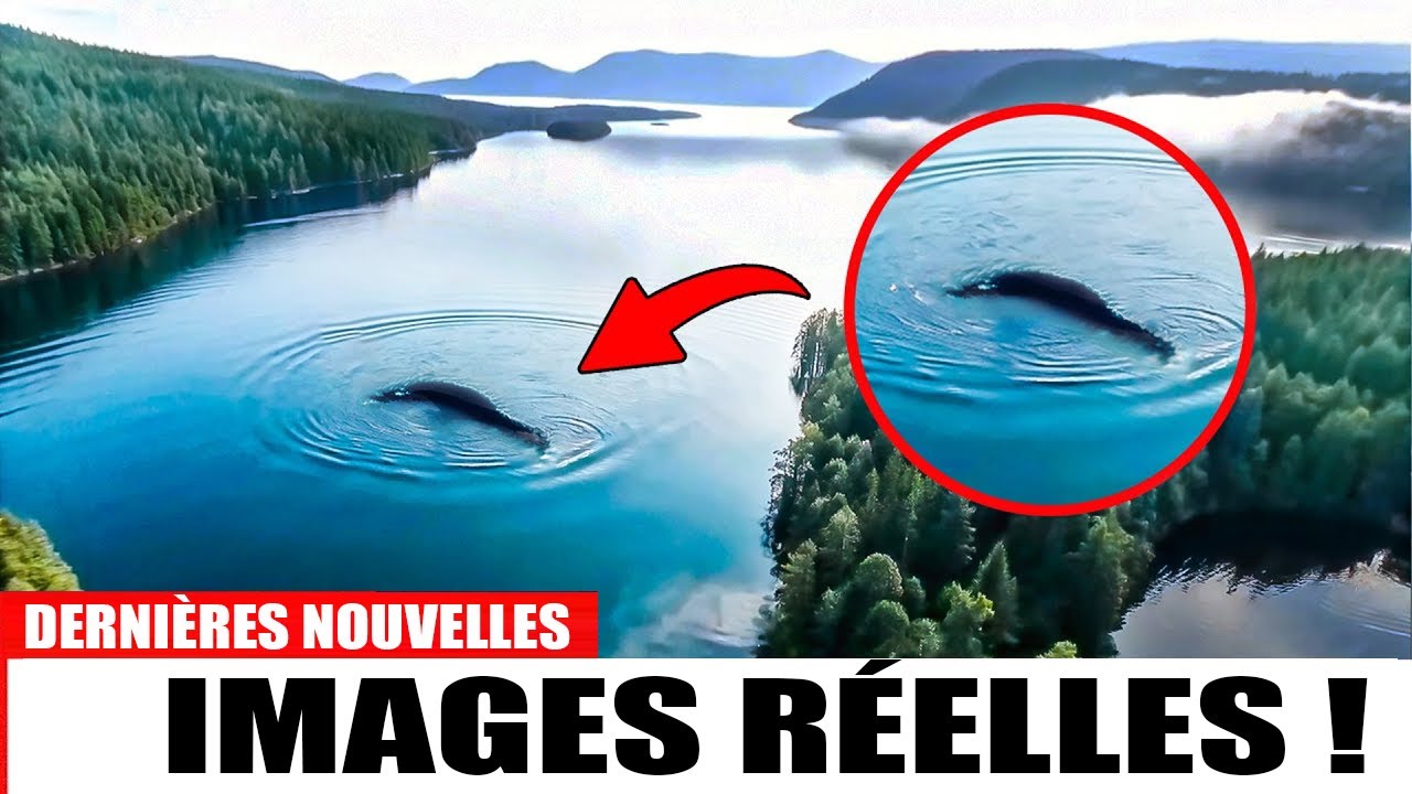 La version alaskienne des Dents de la mer est bien r&eacute;elle&hellip; et elle est plus grande que pr&eacute;vu