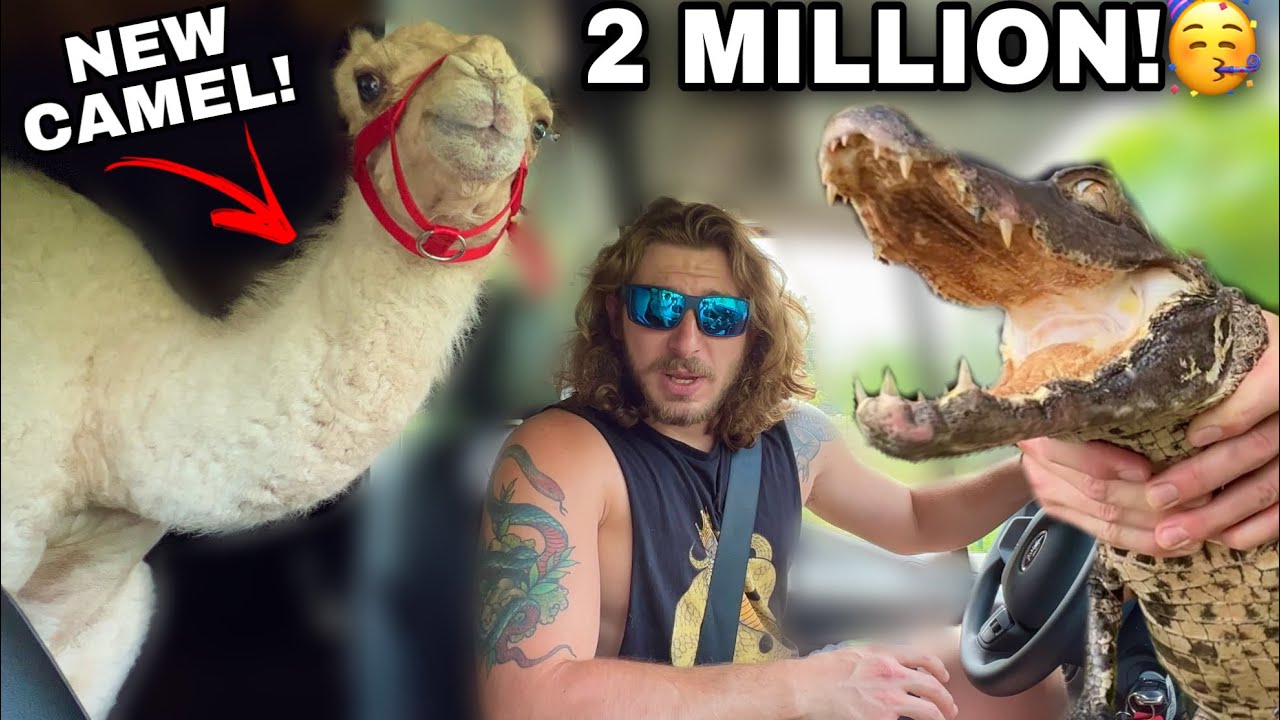 Driving across America with a CAMEL! ￼