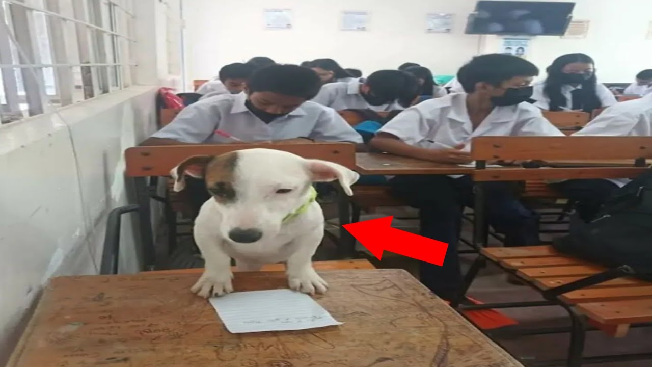 Kumpulan meme absurd yang saya temukan di hari lebaran 2026 #43