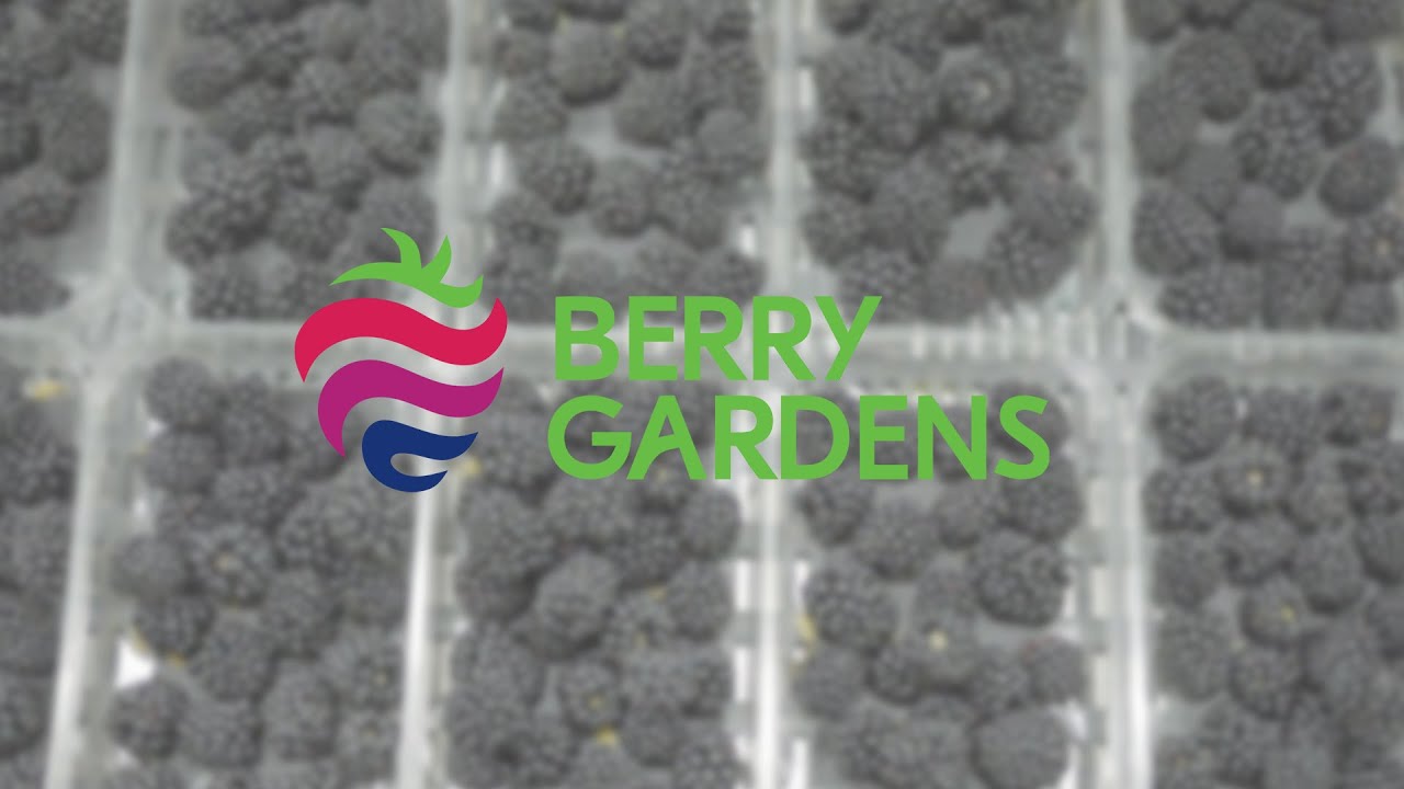 Berry Gardens - State-of-The-Art Fruit Processing & Packaging Facility