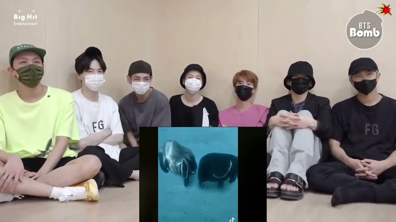Bts reaction tiktok ☆