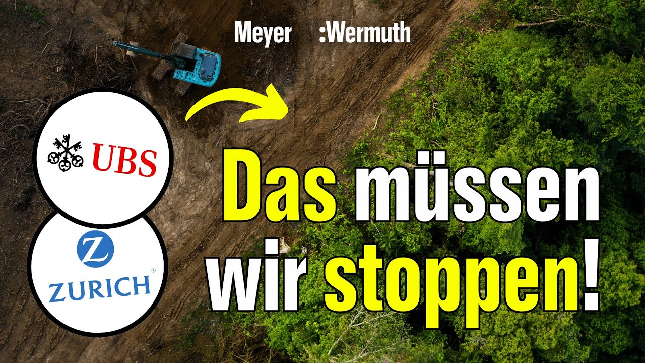 Was wir zwei Jahre lang vorbereitet haben | Meyer:Wermuth