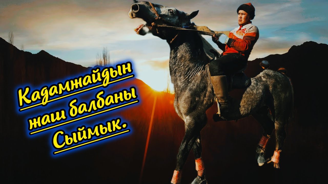 Сыймык балбан кош тай менен улакты бүтүрдү.