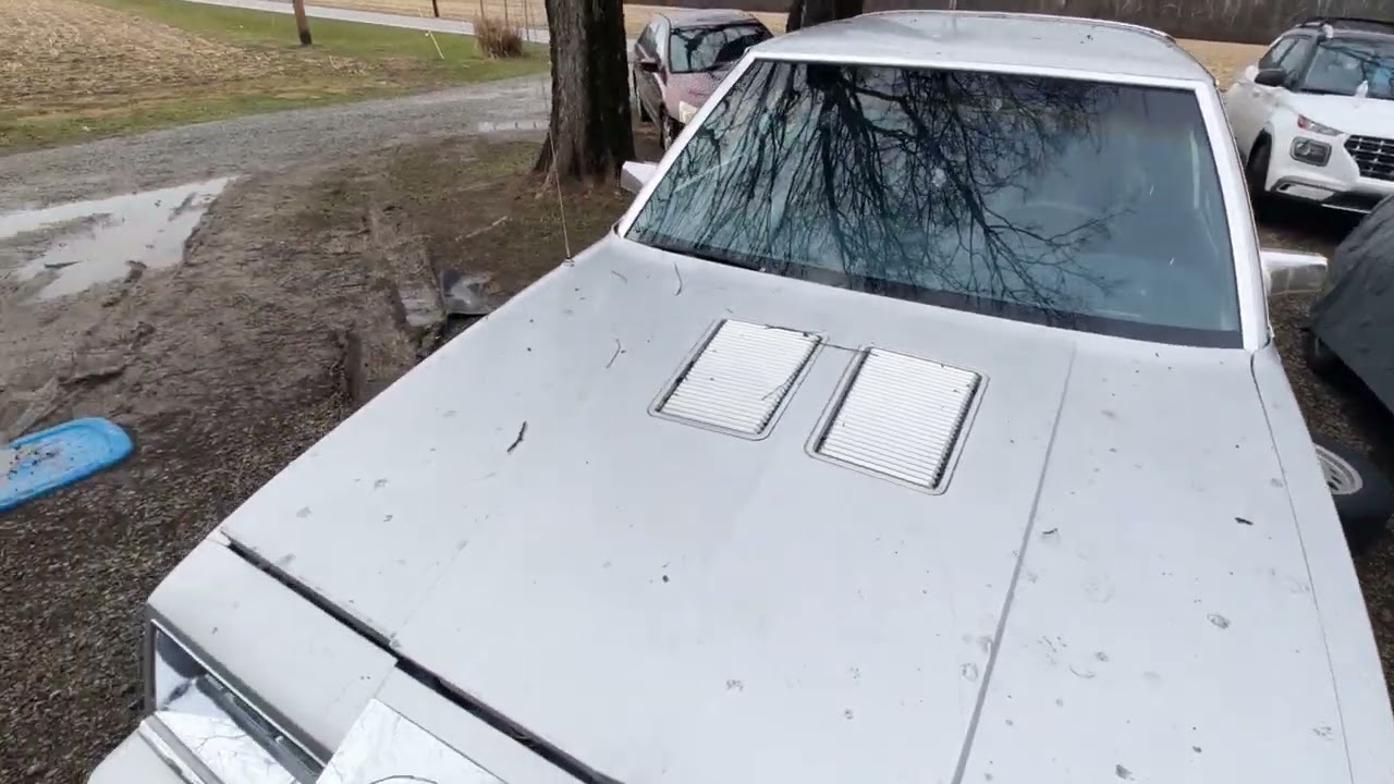 1985 Chrysler New Yorker project