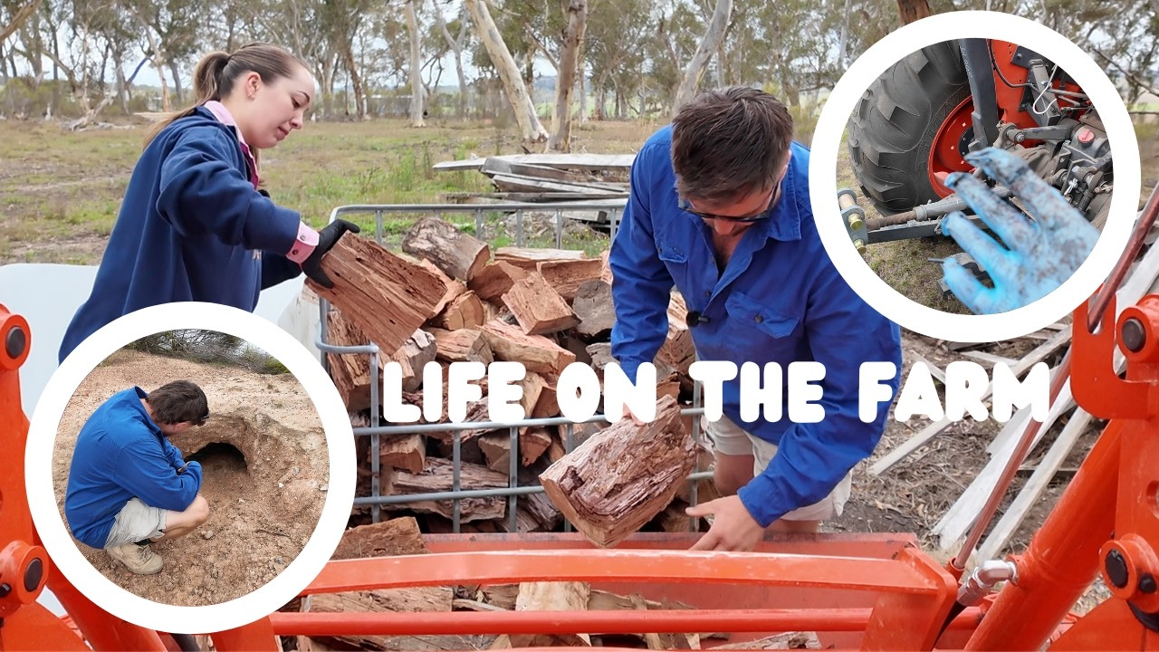 A Day of Simple Farm Jobs | Tractor Maintenance, Firewood Prep & Our Wombat Check | Ep 10