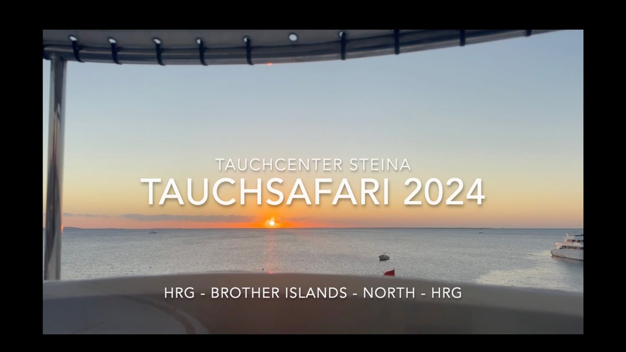Tauchcenter Steina auf Tour Tauchsafari 2024 mit der Golden Dolphin IV North Brothers Tour