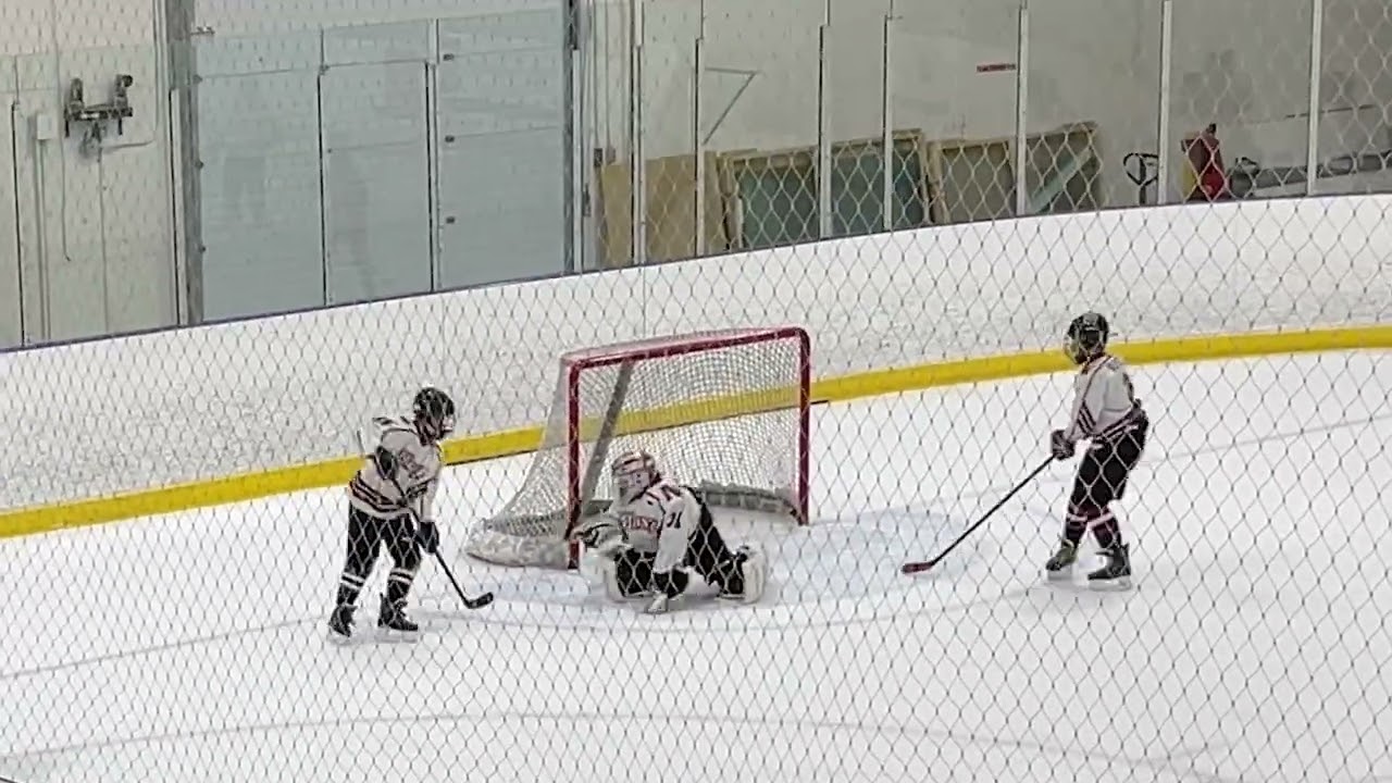 NMHA - Rec A 2024-2025 - Playoff Semi-Finals - Overtime - Arctic Blades vs Nepean Destroyers