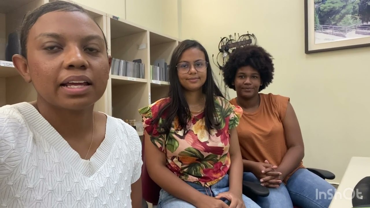 Análise das Políticas Públicas de Igualdade Racial: Projeto 60 Redes antirracistas