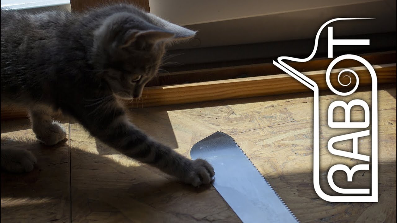 Forme de scie japonaise très pratique