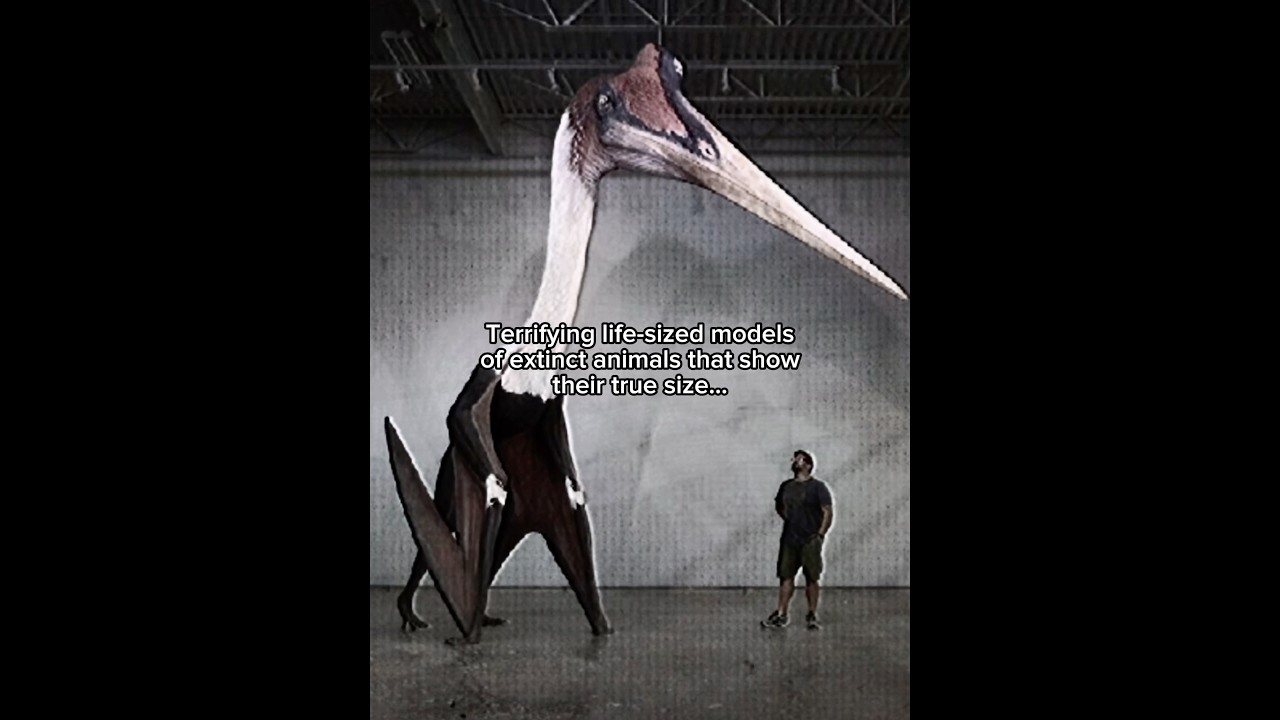 Terrifying life sized models of giant extinct animals #dinosaur #trex
