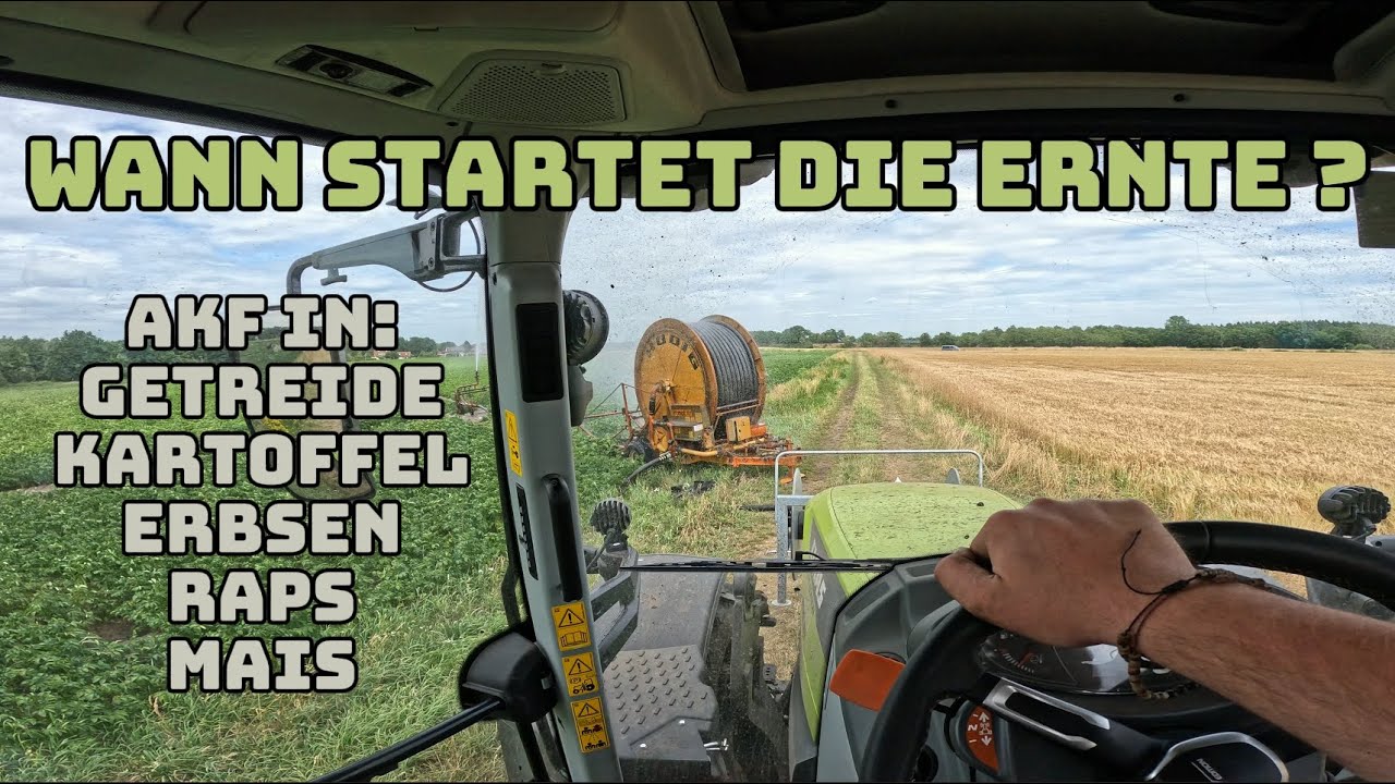 Wie stark ist der Roggen vertrocknet ? | 4 Beregnungen laufen | Farmvlog #218