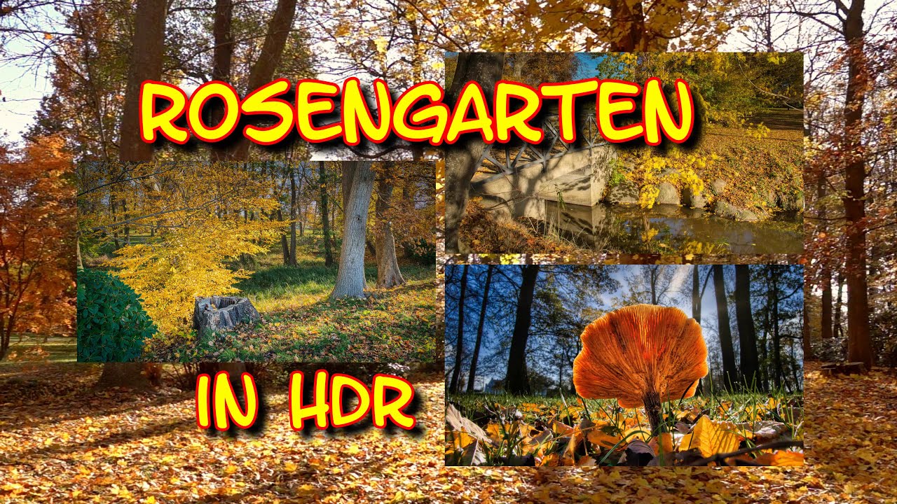 Insel Rügen - Herbst in HDR  fotografiert -  en1113