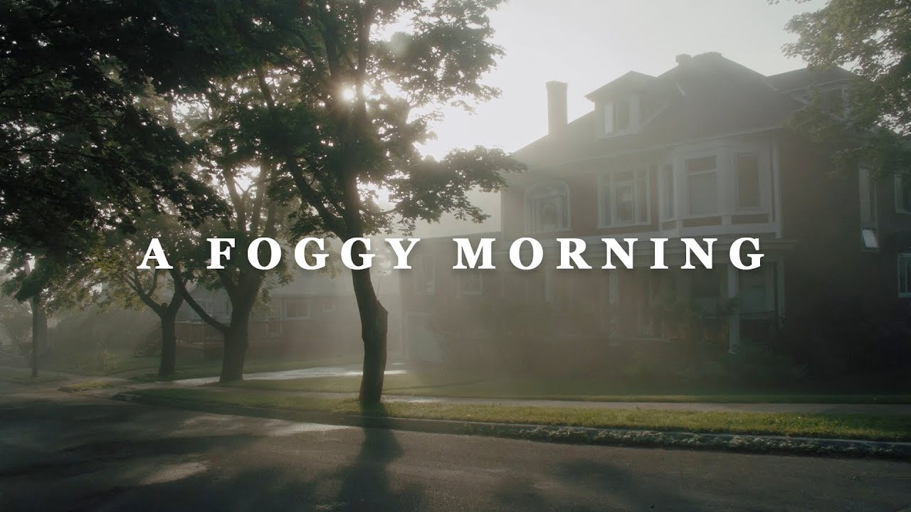 A Foggy Morning | BMMCC + Ronin-S Footage