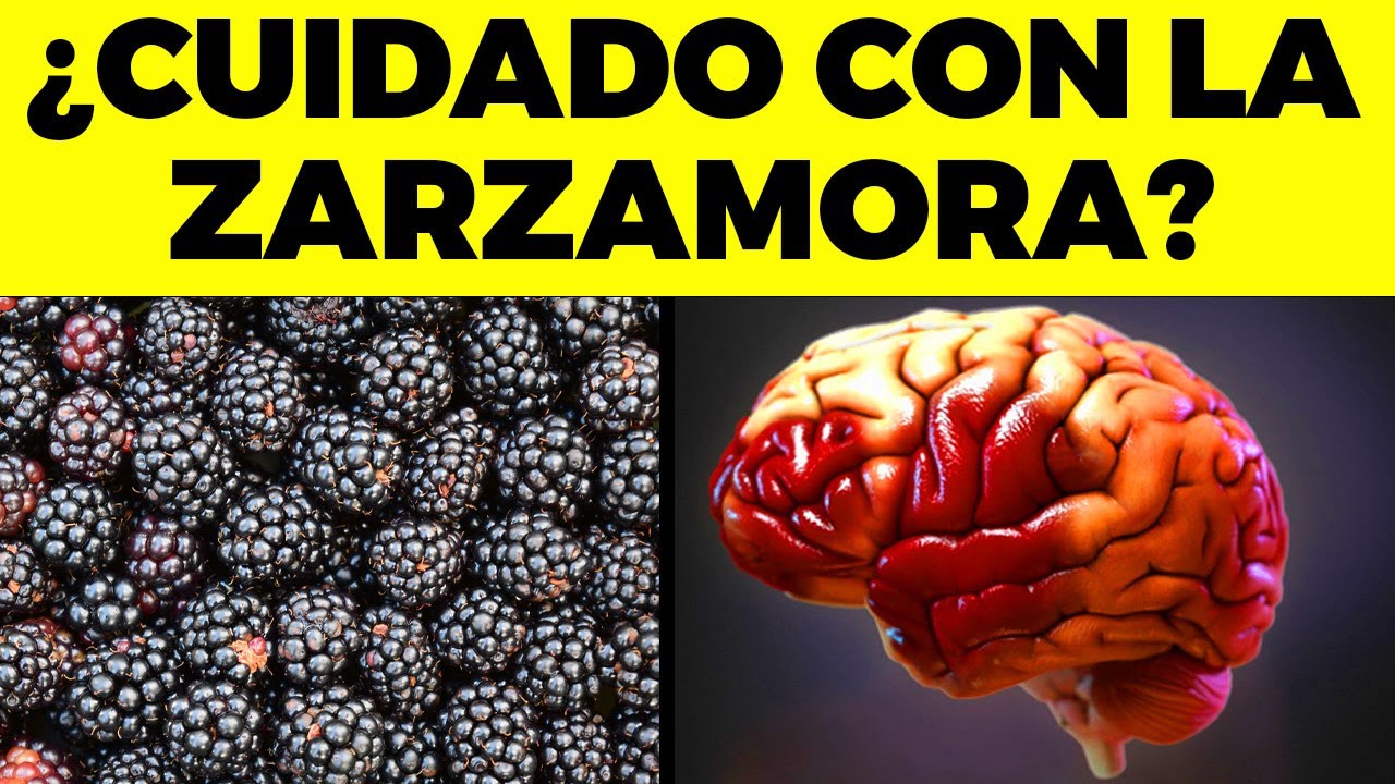 Esto le OCURRE a tu CEREBRO si comes ZARZAMORAS todos los días!