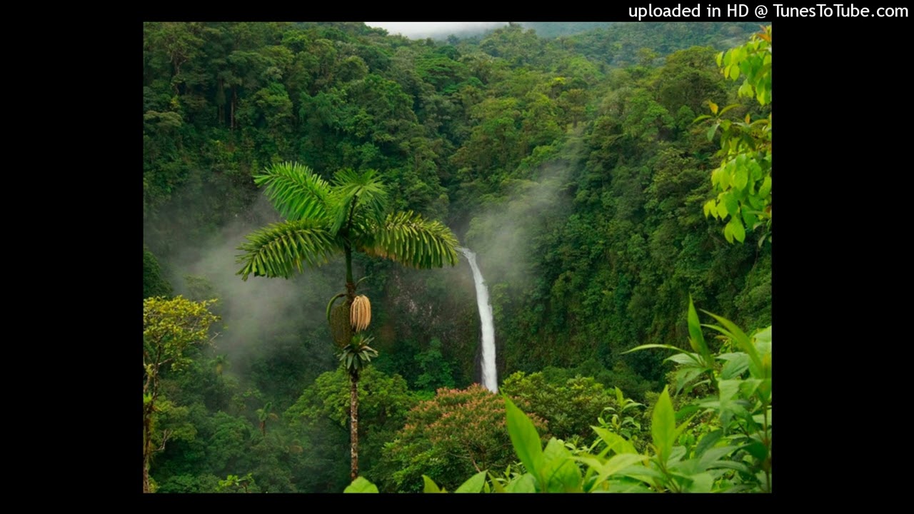 (FREE) JUGO! x LTHELIZARD x WEST DUBAI x CLÚSTER x 1MILLONUSD Type Beat - 