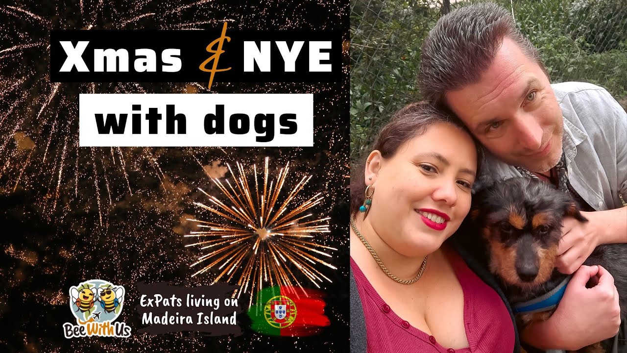 Xmas, New Year's Eve, Rescued Dogs, House Updates, all in one (belated) video!