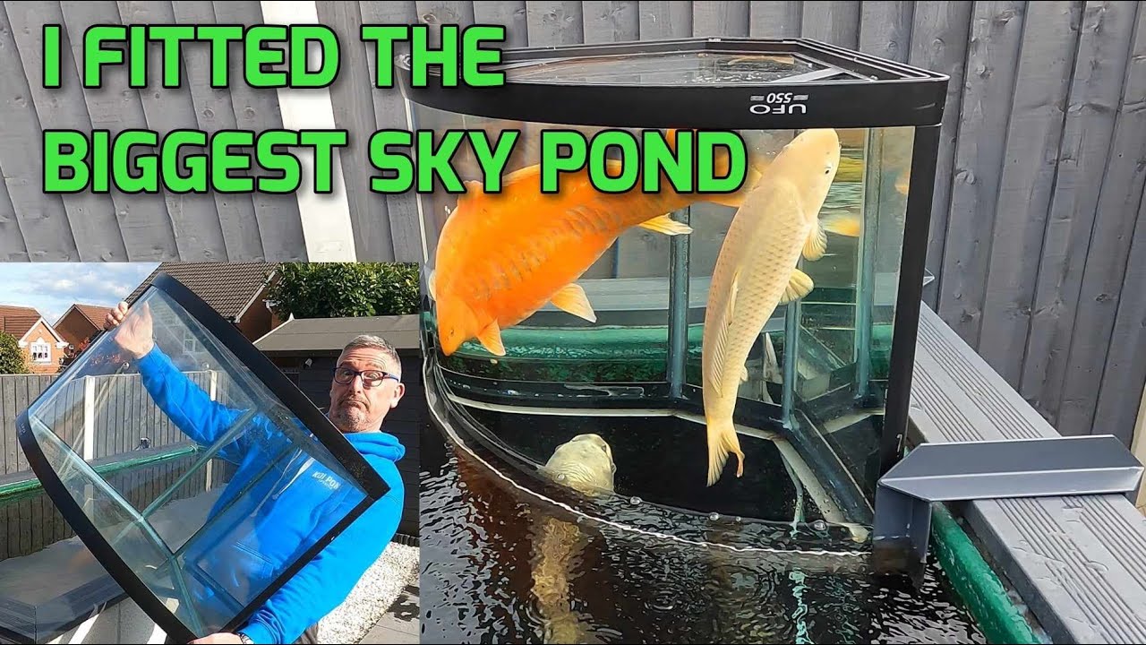 KOI POND*I FITTED THE BIGGEST KOI POND INVERTED AQUARIUM TO TRANSFORM MY POND**😮😉👍