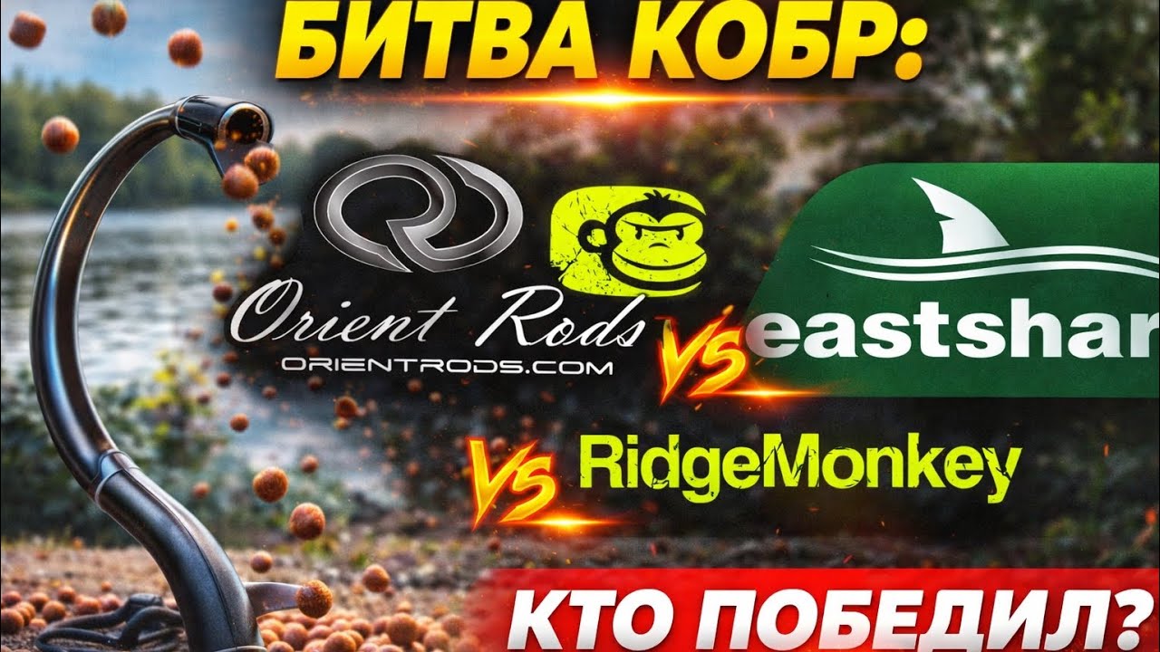 КОБРЫ ДЛЯ КАРПА: ORIENT vs RIDGE MONKEY vs EAST SHARK. КТО ПОБЕДИЛ #threeprofik #carpfishing #carp 