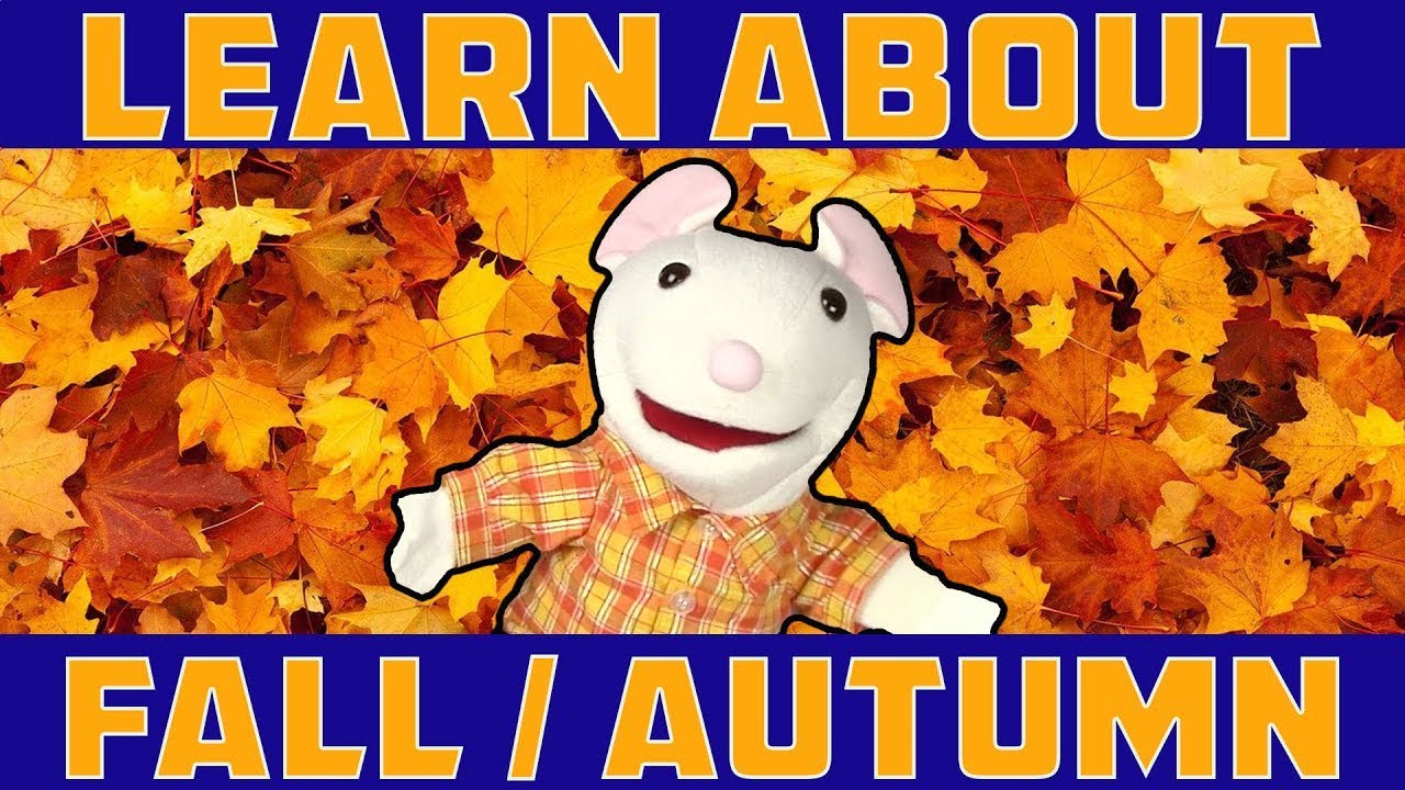 LEARN ABOUT FALL, AUTUMN | learning seasons for children | preschool, kindergarten vocabulary