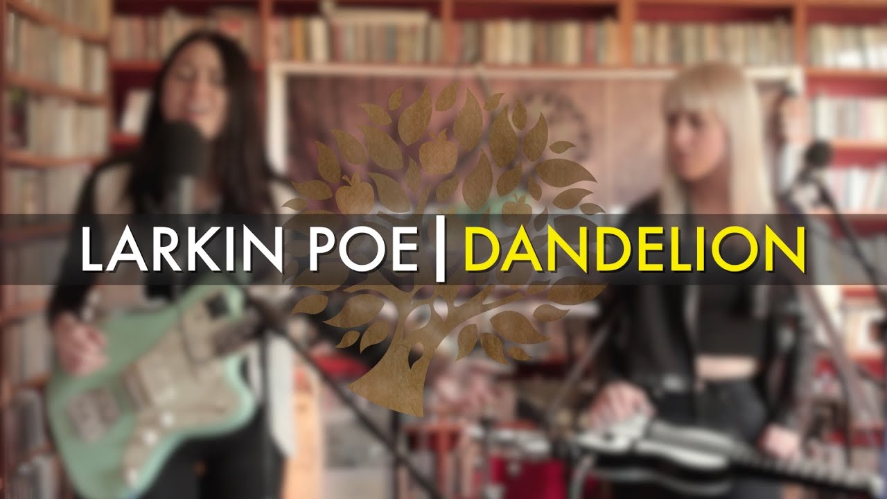 Larkin Poe - 'Dandelion' | UNDER THE APPLE TREE