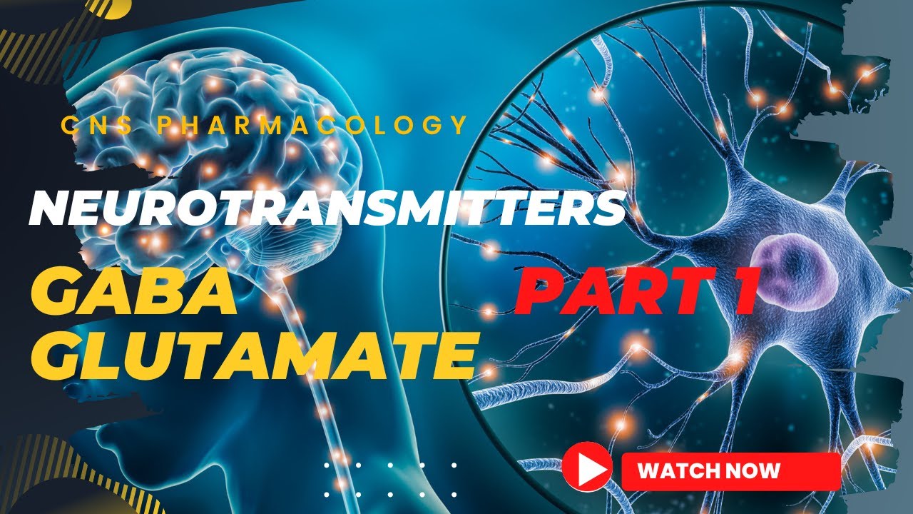ፋርማኮሎጂ : CNS PHARMACOLOGY , Neurotransmitters in Amharic part 1