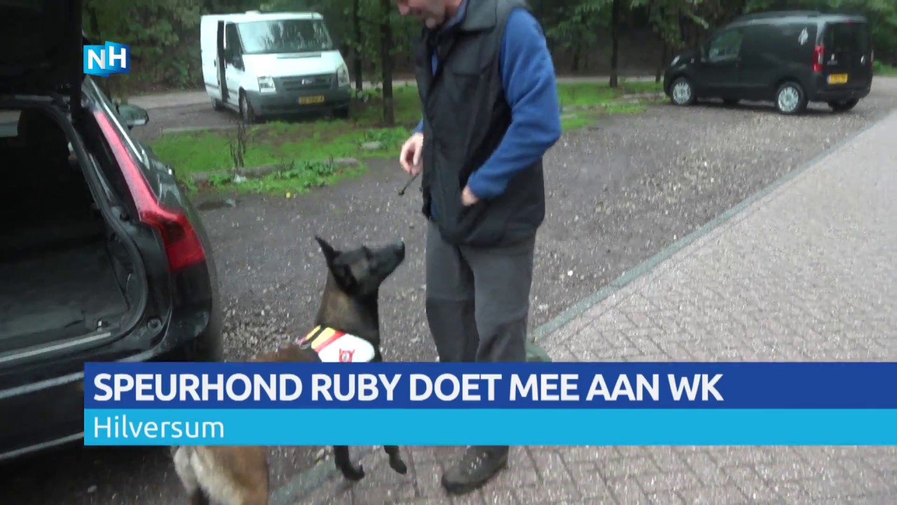 Hilversumse speurhond Ruby doet mee aan WK voor reddingshonden