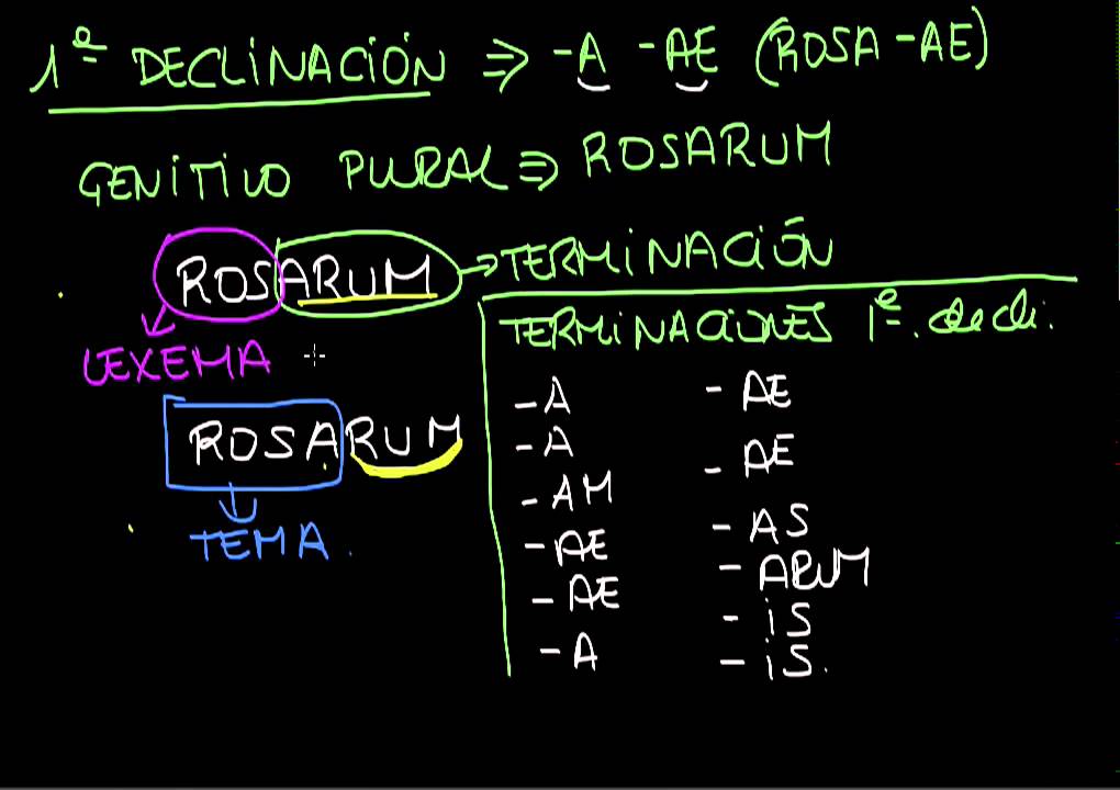 1ª Declinación