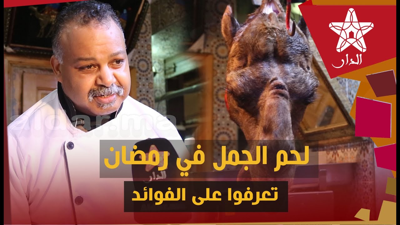 أجي تعرفوا على فوائد لحم الجمل في رمضان مع الجزار الأشهر والوحيد في مكناس