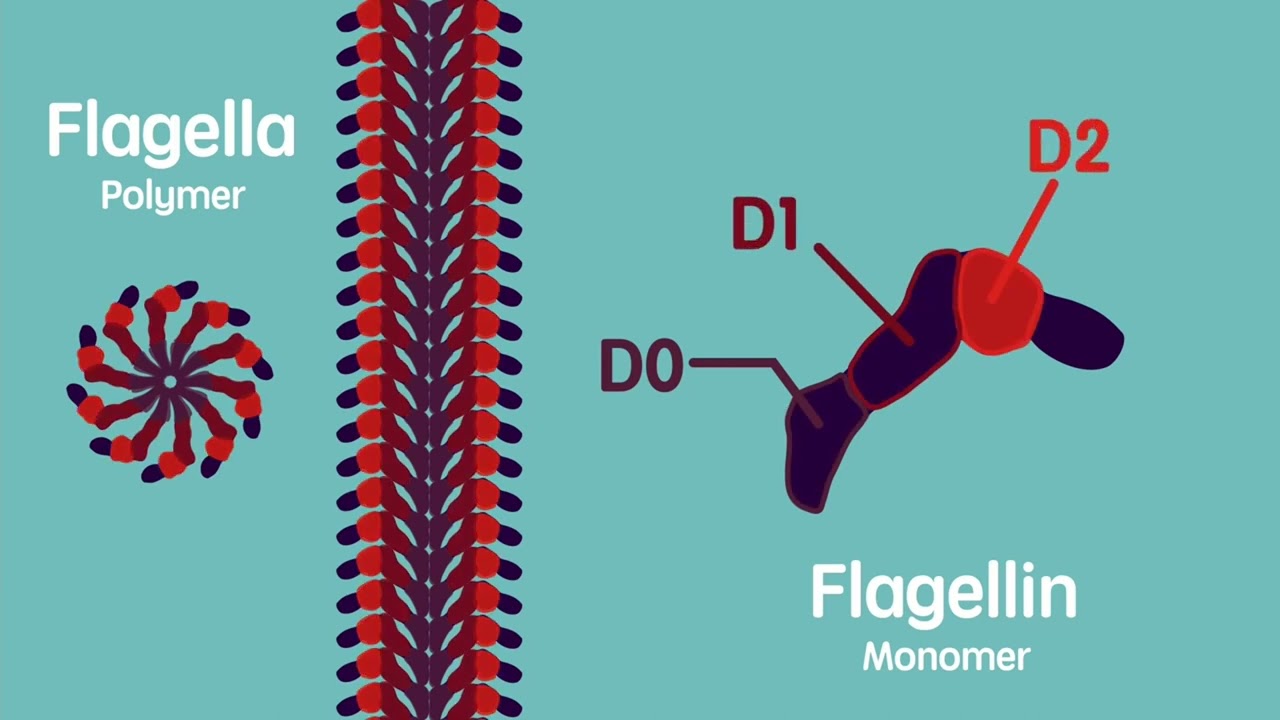 1. Workshop Teil2: Wie stellt man synthetische Biologie durch ein Theaterstück dar?