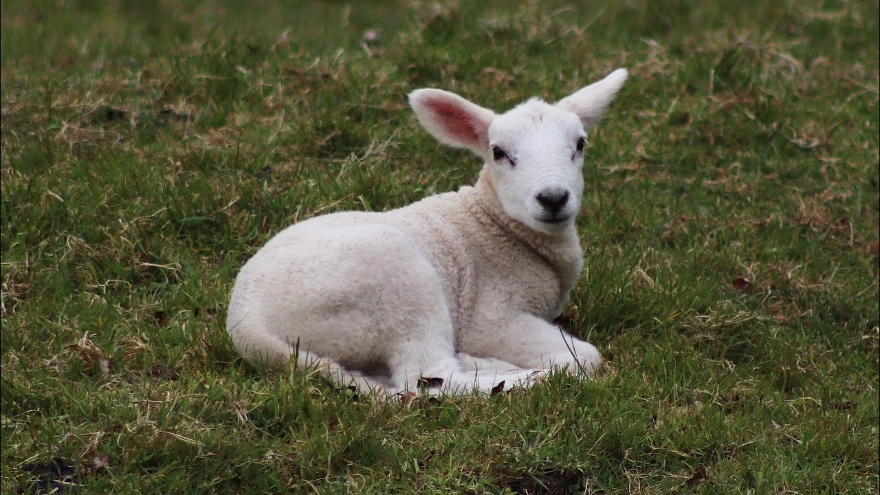 Part 3   Trip to England  -  Stow on the Wold
