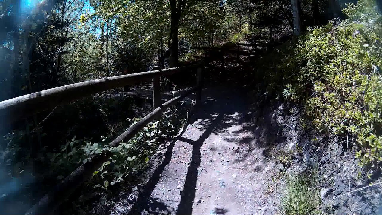 Haldon Forest Kiddens Descent