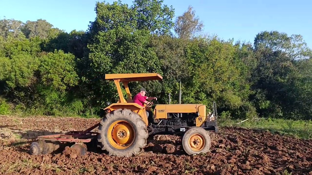 Preparando a terra pra plantação de Aipim ( mandioca, macaxeira).