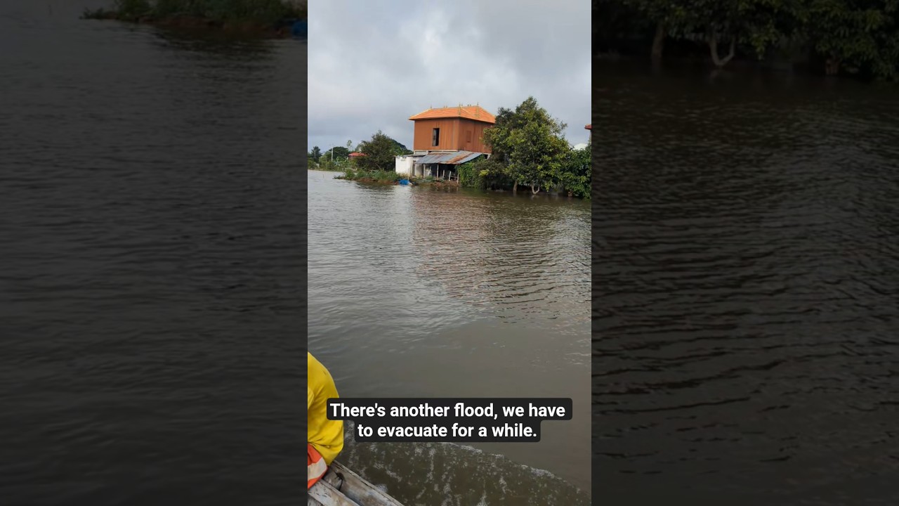 The Flood, Escape for a while first. #water #flood #boat #nature 🌊💦