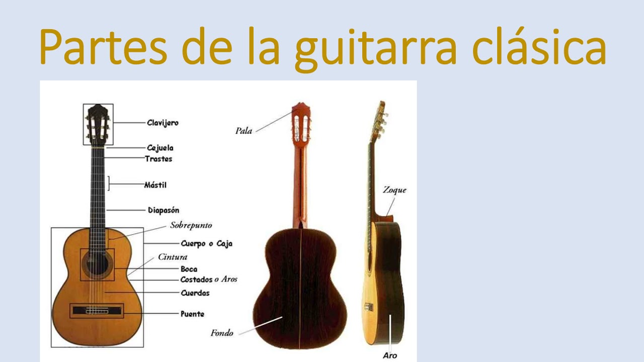 Partes de la guitarra clásica |  | UPV