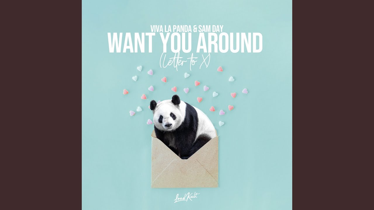 Want You Around (Letter to X)