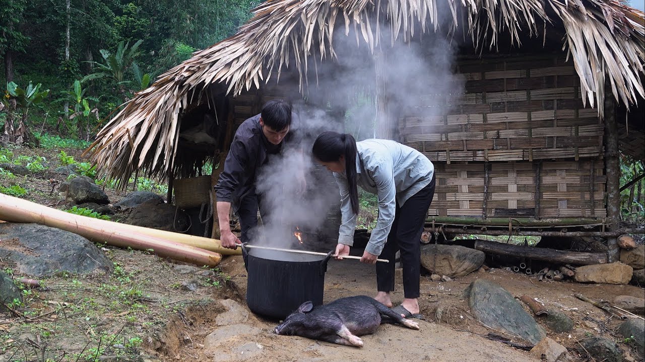 Sadness of hardworking farmers, Survival Instinct, Episode 9 + 15