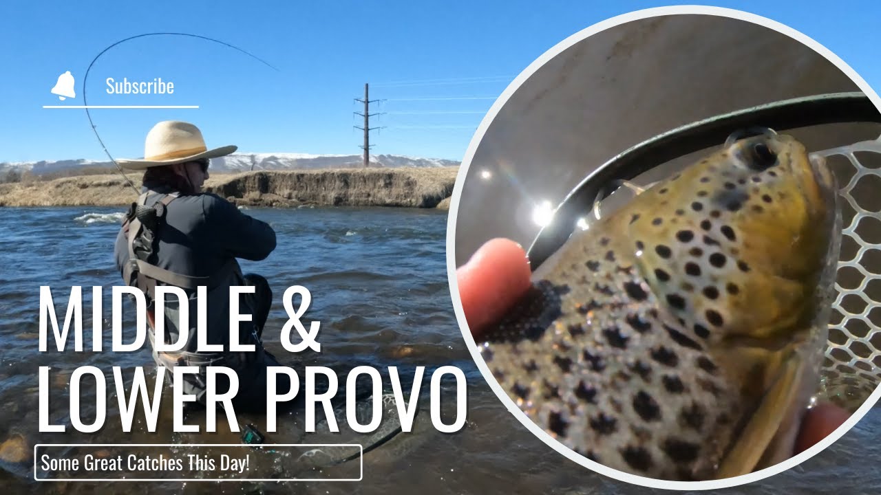 Рыбалка нахлыстом в Юте | Отличный день на среднем и нижнем течении реки Прово!