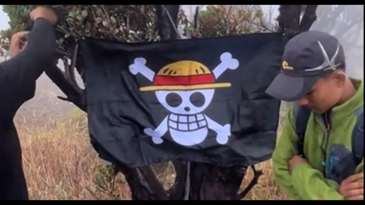 Indonesia Government Hates One Piece