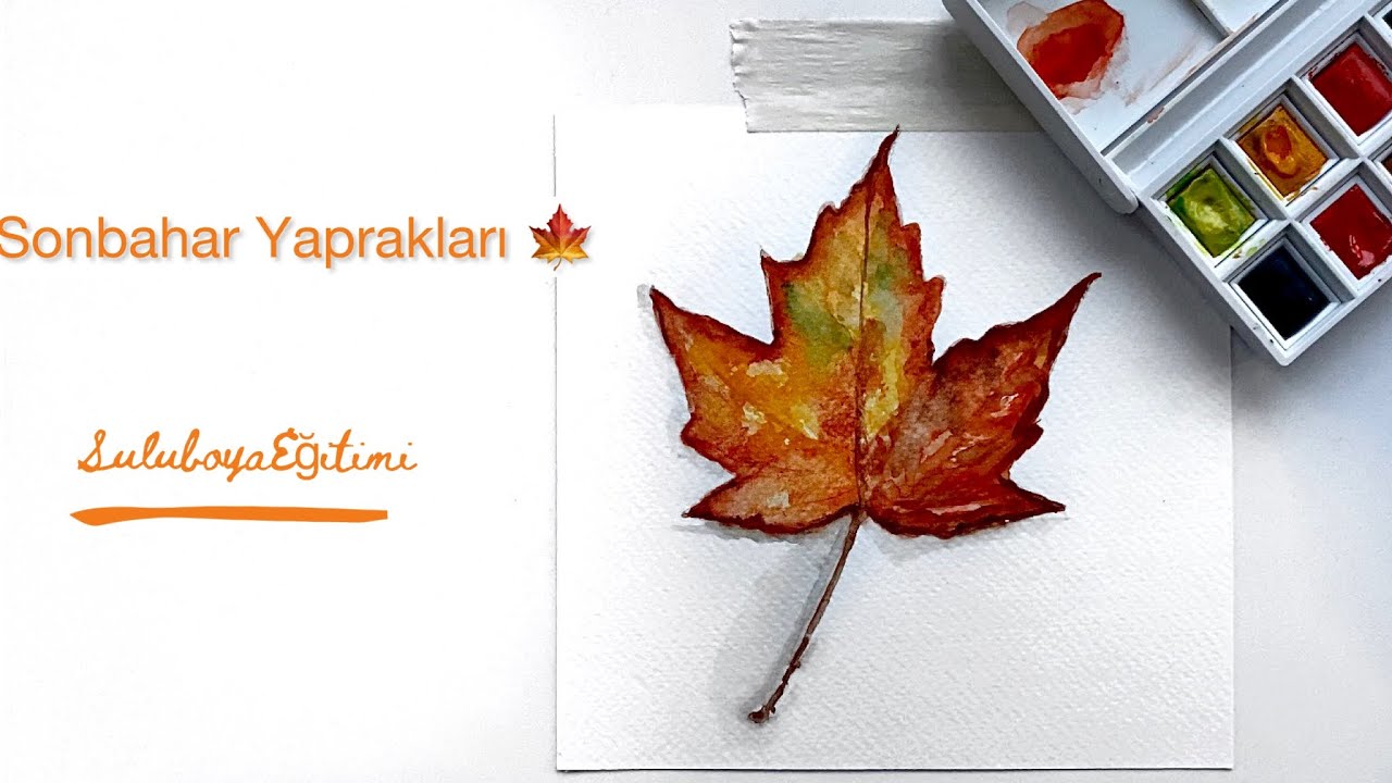 Suluboya Tekniği | Sonbahar Yaprakları🍂| Yeni Başlayanlar İçin