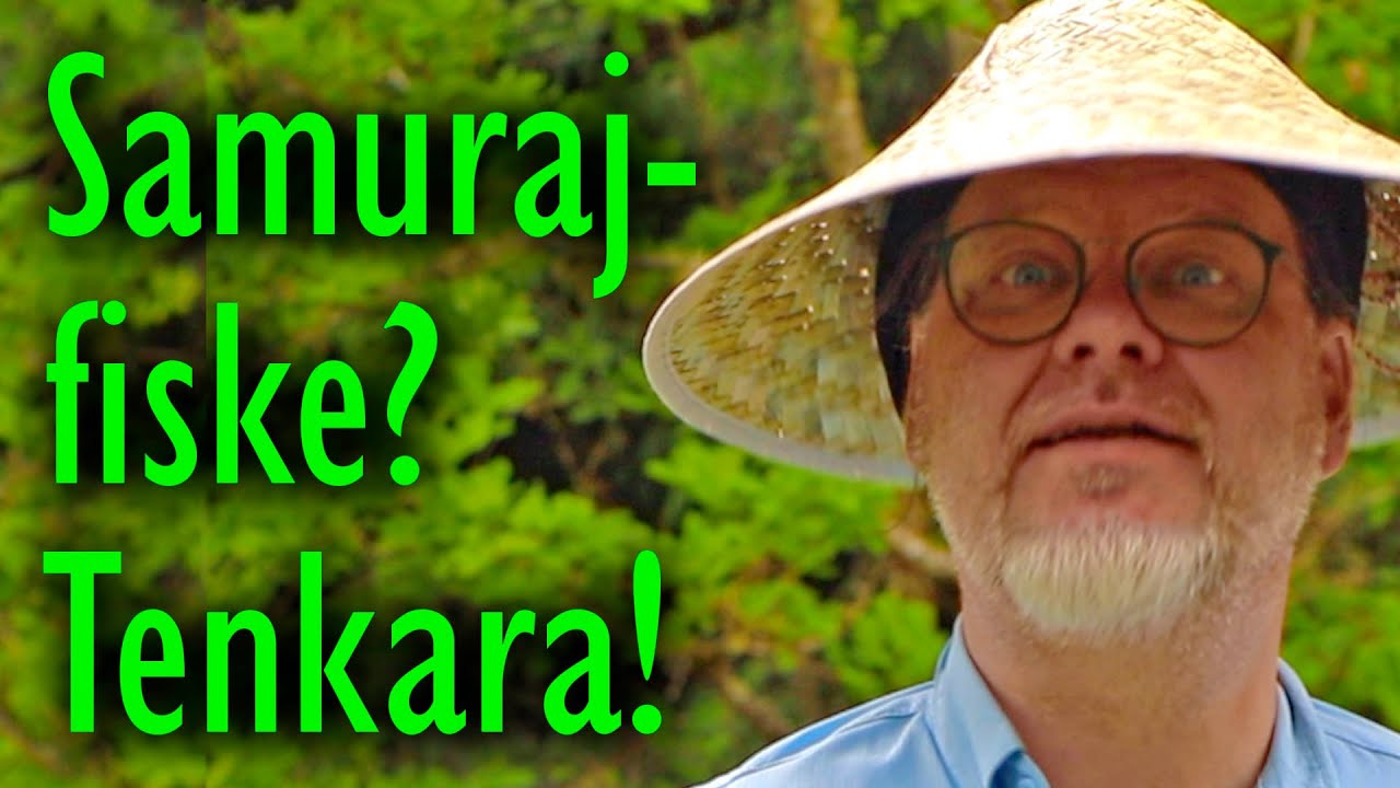 Hur fiskar man Tenkara, Samurajernas egna fiskemetod?