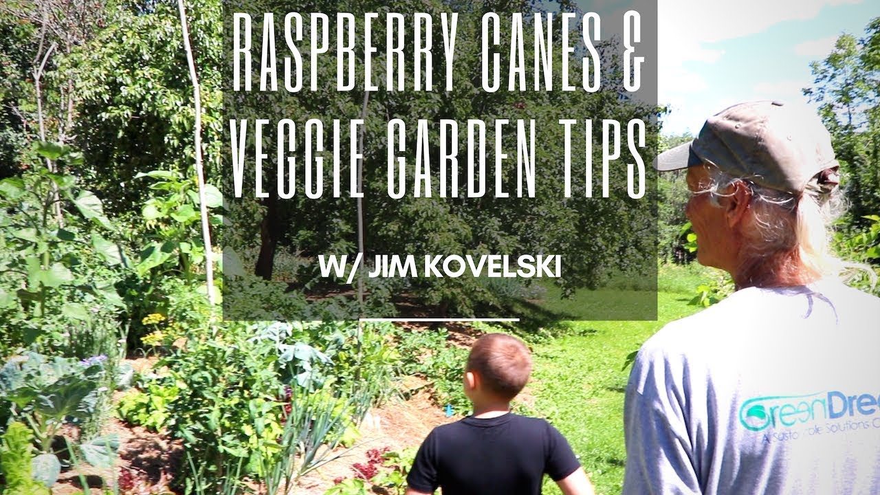 Market Farming in Maine | Veggies & Raspberries w/ Jim Kovaleski