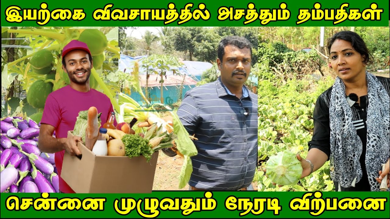 சென்னையில் ஒருங்கிணைந்த இயற்கை விவசாயம் | நிலத்தில் இருந்து நேரடி விற்பனை | Organic Farm in Chennai