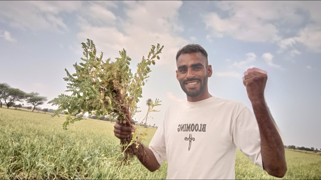 Finally dusre ke khet se chane kha liya ❤️ daily vlog 